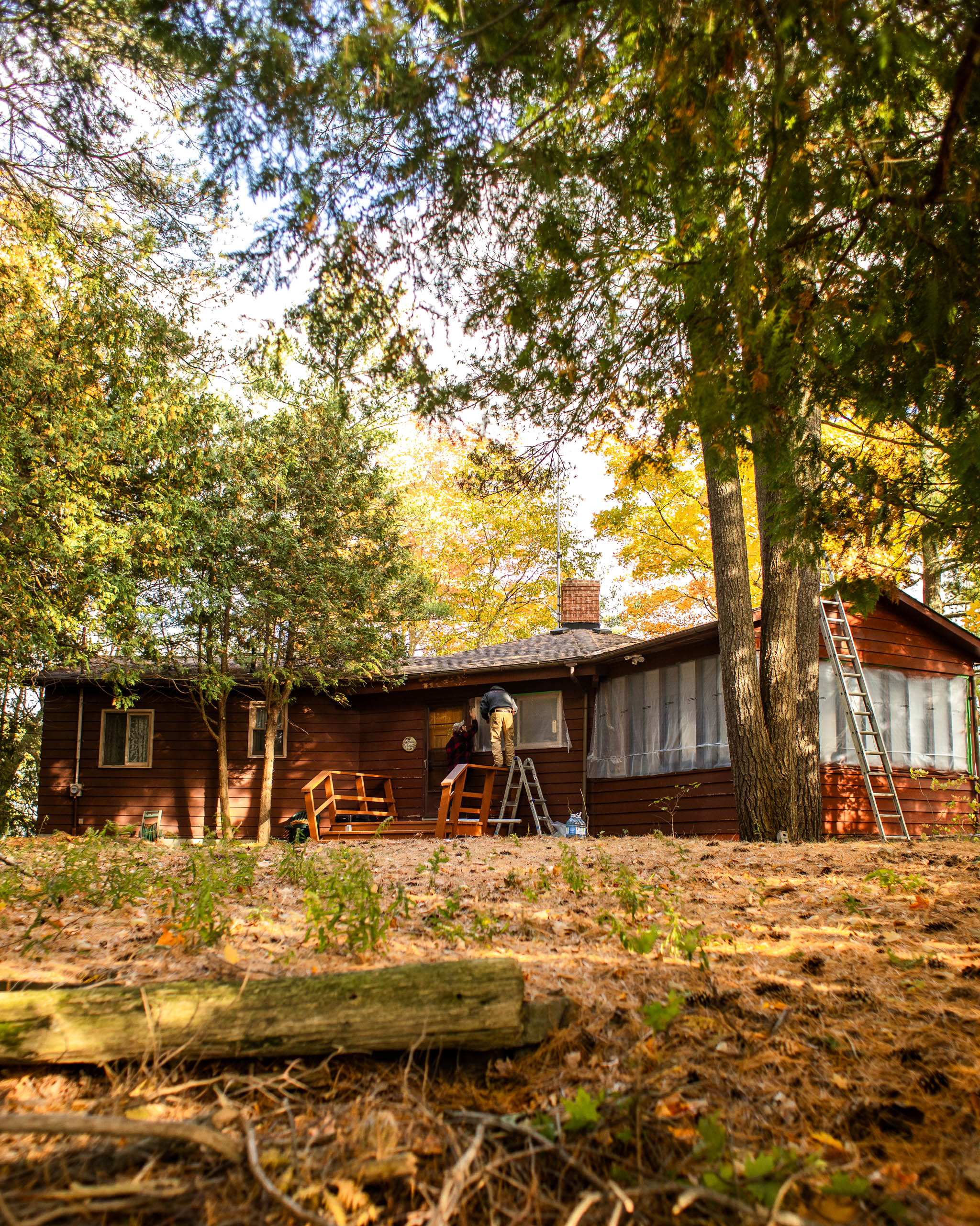 Fall cleanup — Property Maintenance